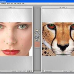 Abrosoft FantaMorph 5 - Deluxe Photo Morphing PC CD Key - ekran görüntüsü 2