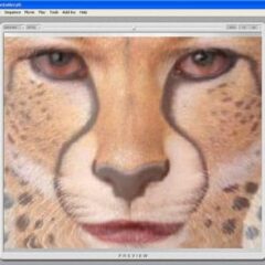 Abrosoft FantaMorph 5 - Deluxe Photo Morphing PC CD Key - ekran görüntüsü 3
