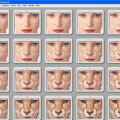 Abrosoft FantaMorph 5 - Deluxe Photo Morphing PC CD Key - ekran görüntüsü 4