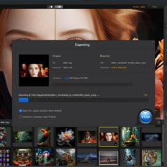 Aiarty Image Enhancer for Windows Key (1 Year / 1 Device) - ekran görüntüsü 3