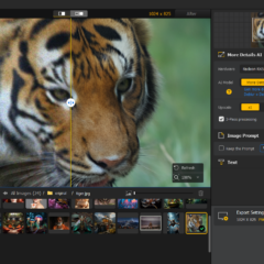 Aiarty Image Enhancer for Windows Key (1 Year / 1 Device) - ekran görüntüsü 4