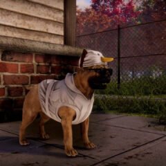 Animal Shelter 2 PC Steam CD Key - ekran görüntüsü 1