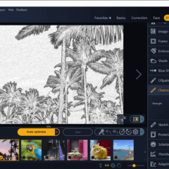 Ashampoo Photo Optimizer 8 Activation Key - ekran görüntüsü 3