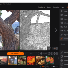 Ashampoo Photo Optimizer 9 Activation Key - ekran görüntüsü 3