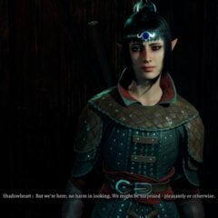 Baldur's Gate 3 GOG CD Key - ekran görüntüsü 6