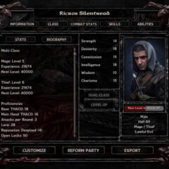 Baldur's Gate - Faces of Good and Evil DLC PC Steam CD Key - ekran görüntüsü 3