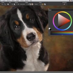 Corel Painter 2020 CD Key - ekran görüntüsü 2