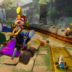 Crash Team Racing Nitro-Fueled Nintendo Switch Access - ekran görüntüsü 3