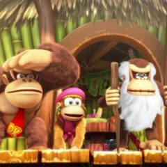 Donkey Kong Country Tropical Freeze Nintendo Switch Access - ekran görüntüsü 1