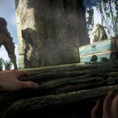Far Cry 3 Deluxe Bundle DLC Steam Gift - ekran görüntüsü 1
