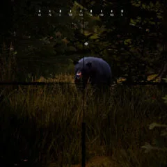 Hunting Simulator 2 Elite Edition TR Xbox Series X|S CD Key - ekran görüntüsü 3