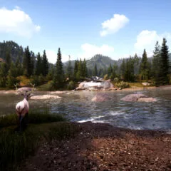 Hunting Simulator 2 Elite Edition TR Xbox Series X|S CD Key - ekran görüntüsü 4