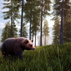 Hunting Simulator 2 Elite Edition TR Xbox Series X|S CD Key - ekran görüntüsü 6