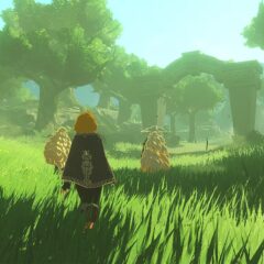 Hyrule Warriors: Age of Imprisonment Nintendo Switch 2 Access - ekran görüntüsü 1