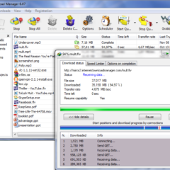 Internet Download Manager Key - ekran görüntüsü 1