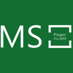 MS Project Professional 2019 CD Key - ekran görüntüsü 1