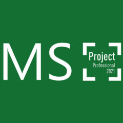 MS Project Professional 2021 CD Key - ekran görüntüsü 1