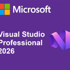MS Visual Studio 2026 Professional CD Key