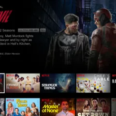 Netflix TRY 1500 Gift Card TR - ekran görüntüsü 2