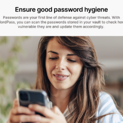 NordPass Premium Global 1 Yıl Sınırsız Cihaz Dijital Lisans Anahtarı (License Key) - ekran görüntüsü 4
