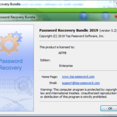 Password Recovery Bundle Enterprise Key (2 PCs) - ekran görüntüsü 1
