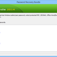 Password Recovery Bundle Enterprise Key (2 PCs) - ekran görüntüsü 2