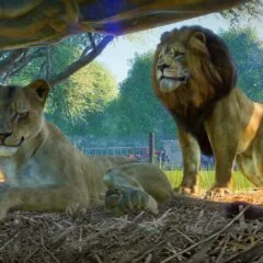 Planet Zoo Deluxe Edition TR PC Steam CD Key - ekran görüntüsü 1