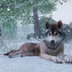 Planet Zoo Deluxe Edition TR PC Steam CD Key - ekran görüntüsü 2