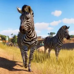 Planet Zoo Deluxe Edition TR PC Steam CD Key - ekran görüntüsü 3