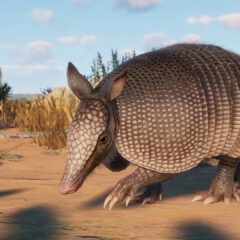 Planet Zoo - Grasslands Animal Pack DLC Steam CD Key - ekran görüntüsü 1