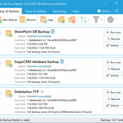 SQL Backup Master 5 Professional Edition CD Key - ekran görüntüsü 4