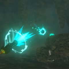 The Legend of Zelda: Tears of the Kingdom Nintendo Switch 2 Access - ekran görüntüsü 3