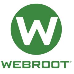 Webroot SecureAnywhere AntiVirus 2024 Key (1 Year / 3 Devices)