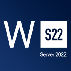 Windows Server 2022 CD Key - ekran görüntüsü 1