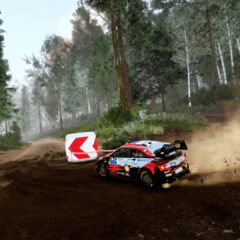 WRC 10 FIA World Rally Championship Deluxe Edition Steam CD Key - ekran görüntüsü 4