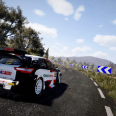 WRC 10 FIA World Rally Championship Deluxe Edition Steam CD Key - ekran görüntüsü 7