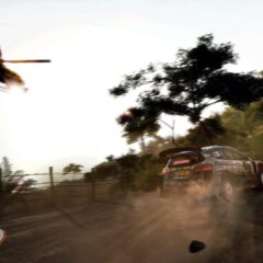 WRC 9 FIA World Rally Championship PC Epic Games CD Key - ekran görüntüsü 2