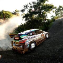 WRC 9 FIA World Rally Championship PC Epic Games CD Key - ekran görüntüsü 8