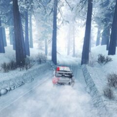 WRC Generations Deluxe Edition TR Steam CD Key - ekran görüntüsü 4