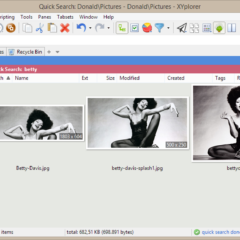 Xyplorer - File Manager for Windows CD Key (1 User) - ekran görüntüsü 2
