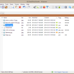 Xyplorer - File Manager for Windows CD Key (1 User) - ekran görüntüsü 4
